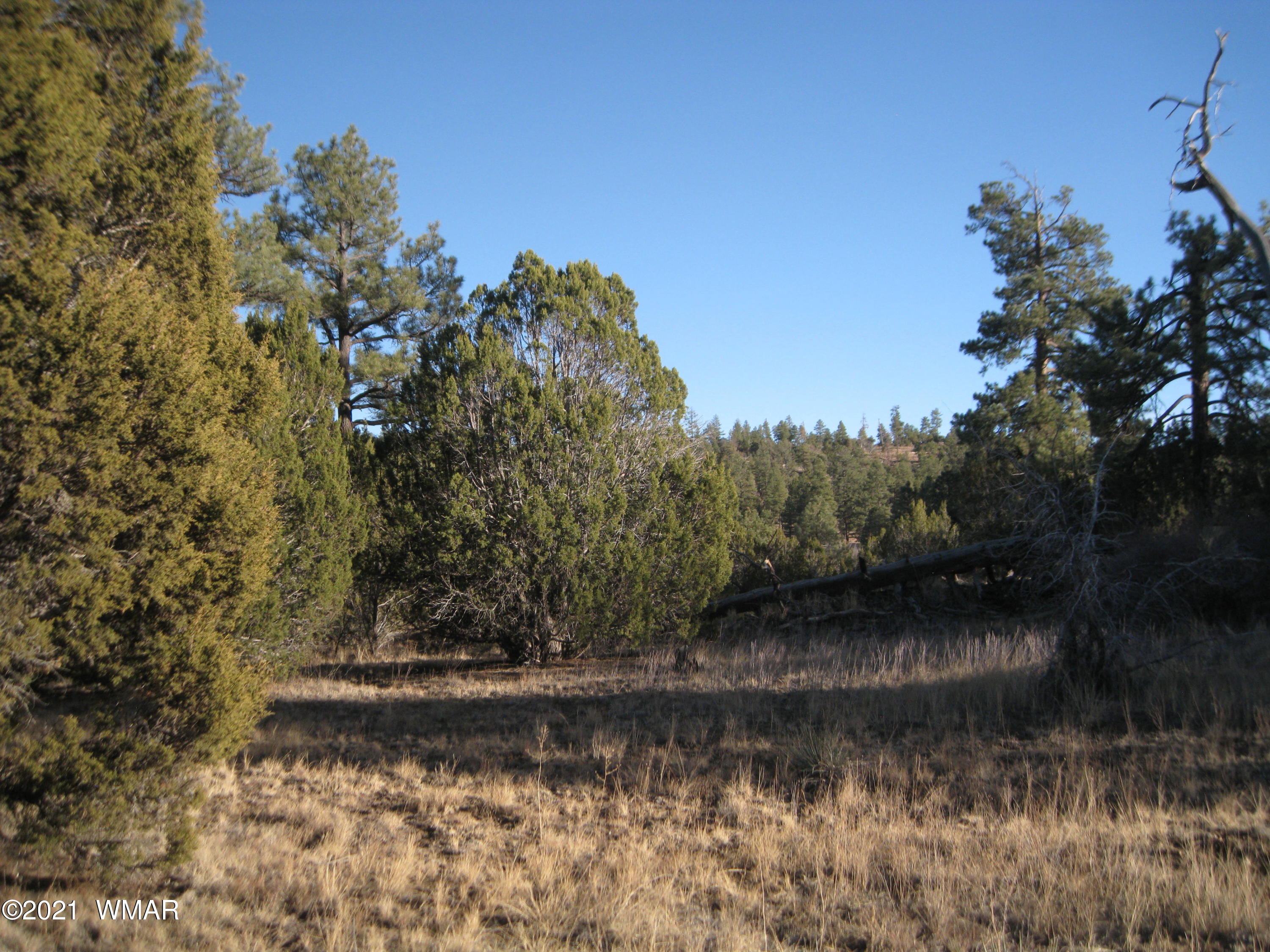 2873 Rockledge Road Heber, AZ 85928 - Photo 4 of 6