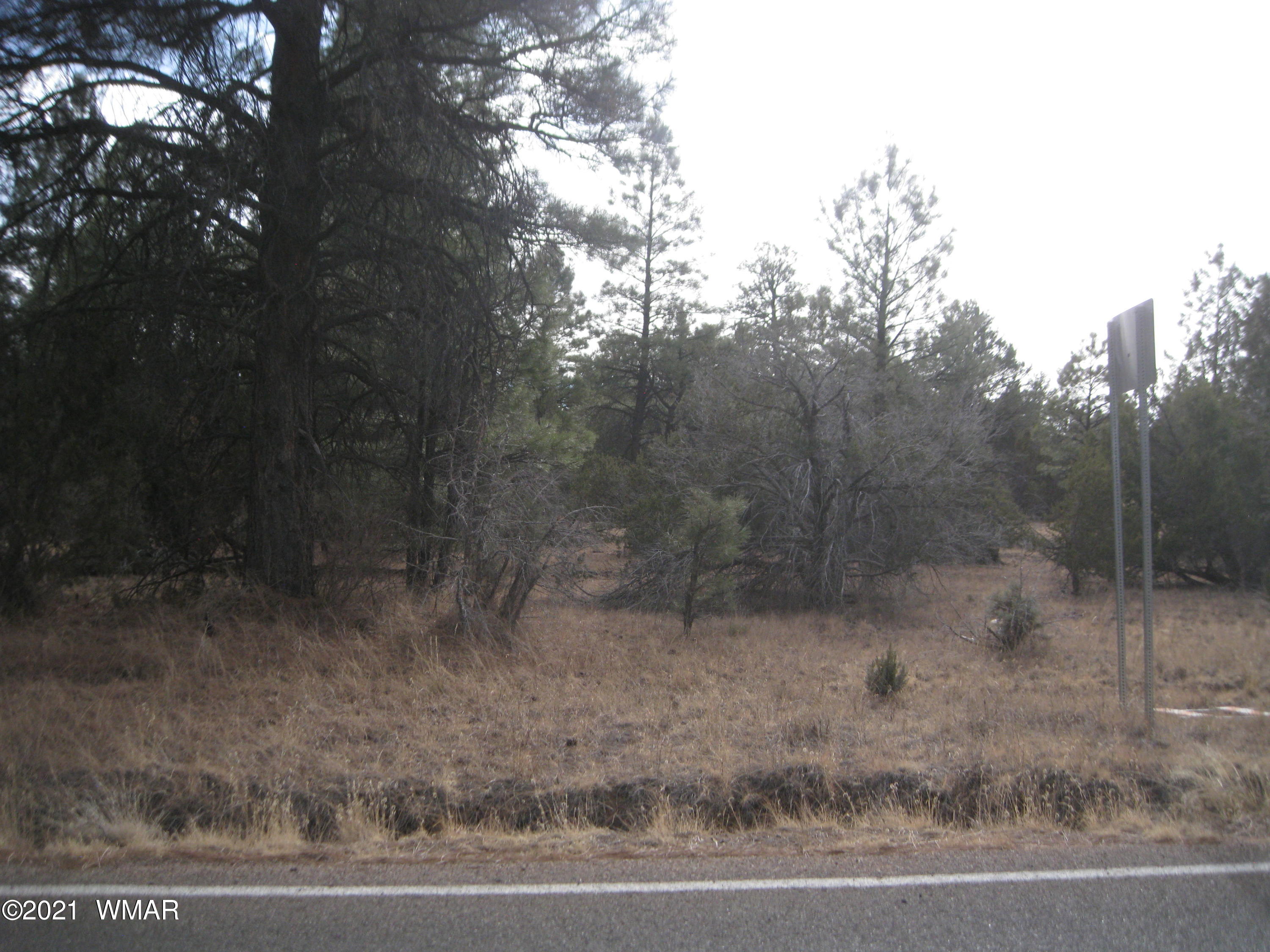 2873 Rockledge Road Heber, AZ 85928 - Photo 6 of 6