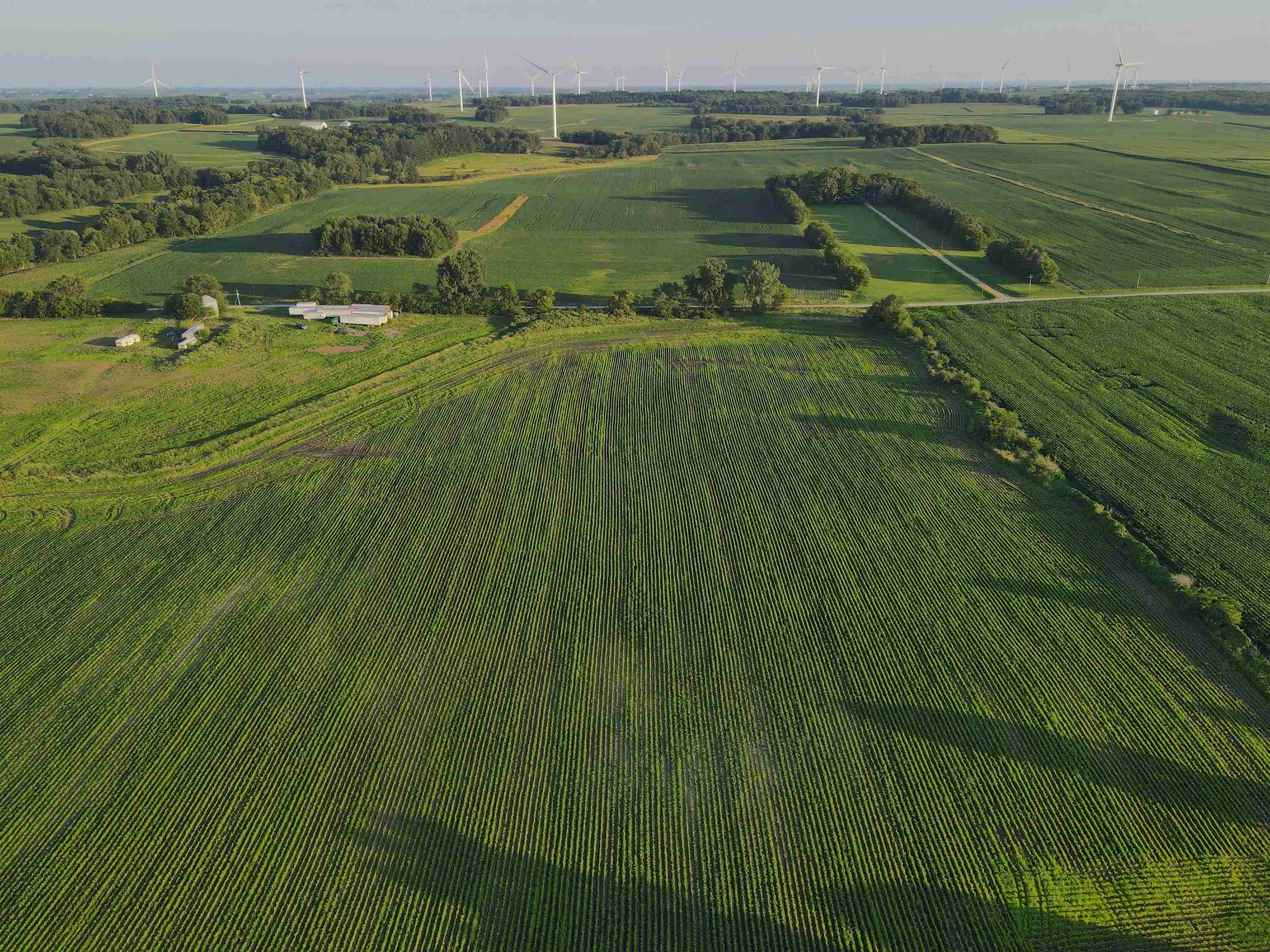 0 Todd Road Amboy, IL 61310 - Photo 16 of 58