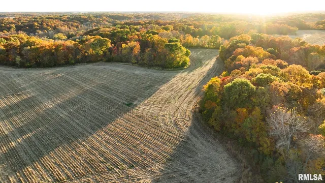 $1,179,000 | 25700 North Orion School Road, Canton, IL 61520