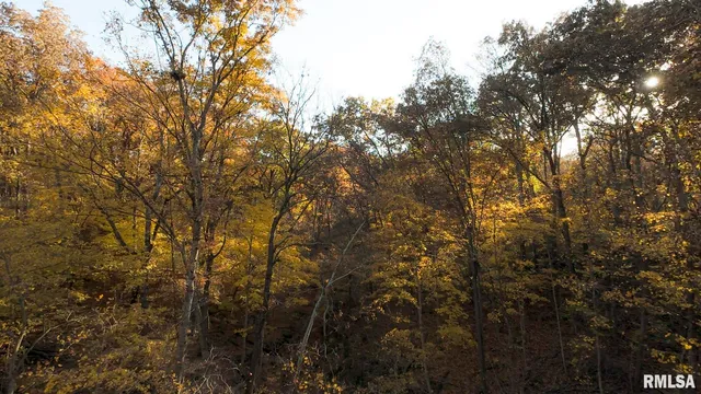 $1,179,000 | 25700 North Orion School Road, Canton, IL 61520