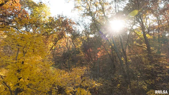 $1,179,000 | 25700 North Orion School Road, Canton, IL 61520