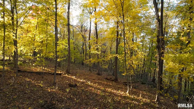 $1,179,000 | 25700 North Orion School Road, Canton, IL 61520