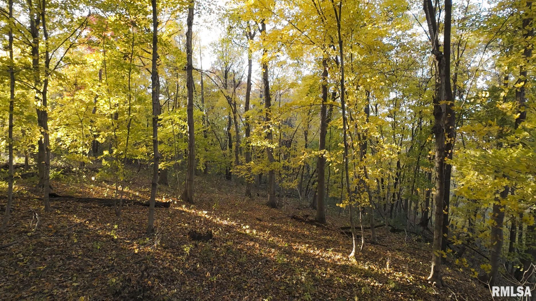 25700 North Orion School Road Canton, IL 61520 - Photo 20 of 85 Gallery Image 20