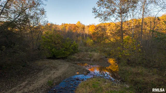 $1,179,000 | 25700 North Orion School Road, Canton, IL 61520