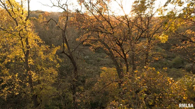 $1,179,000 | 25700 North Orion School Road, Canton, IL 61520