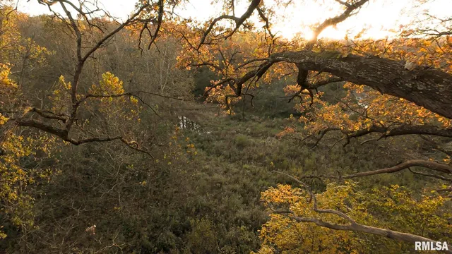 $1,179,000 | 25700 North Orion School Road, Canton, IL 61520