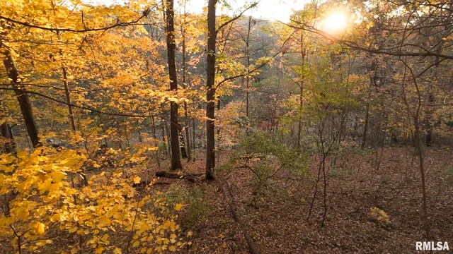 $1,179,000 | 25700 North Orion School Road, Canton, IL 61520