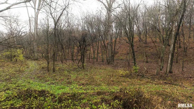 $1,179,000 | 25700 North Orion School Road, Canton, IL 61520