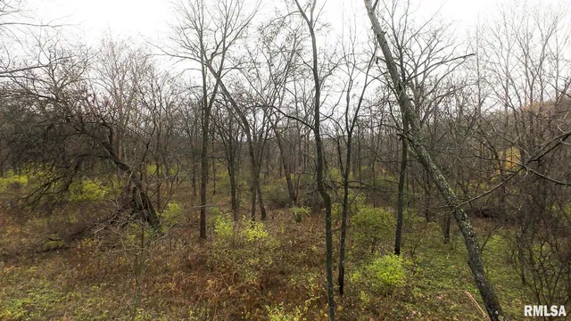 $1,179,000 | 25700 North Orion School Road, Canton, IL 61520