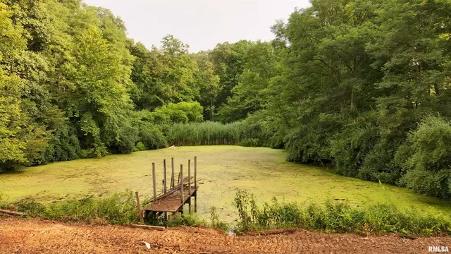 $1,179,000 | 25700 North Orion School Road, Canton, IL 61520