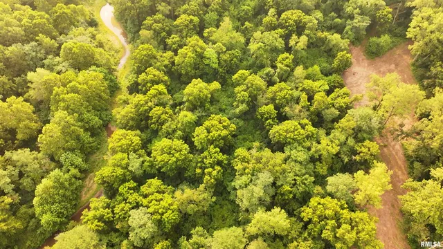 $1,179,000 | 25700 North Orion School Road, Canton, IL 61520