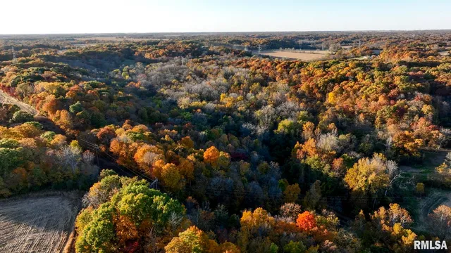 $1,179,000 | 25700 North Orion School Road, Canton, IL 61520