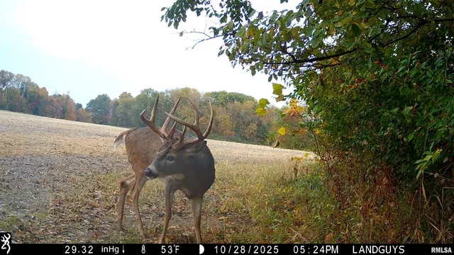 $1,179,000 | 25700 North Orion School Road, Canton, IL 61520