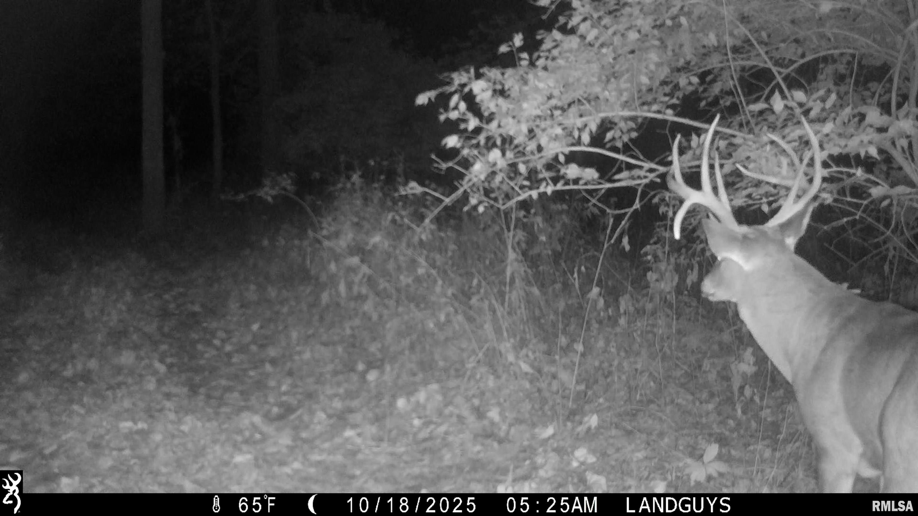 25700 North Orion School Road Canton, IL 61520 - Photo 54 of 85 Gallery Image 54