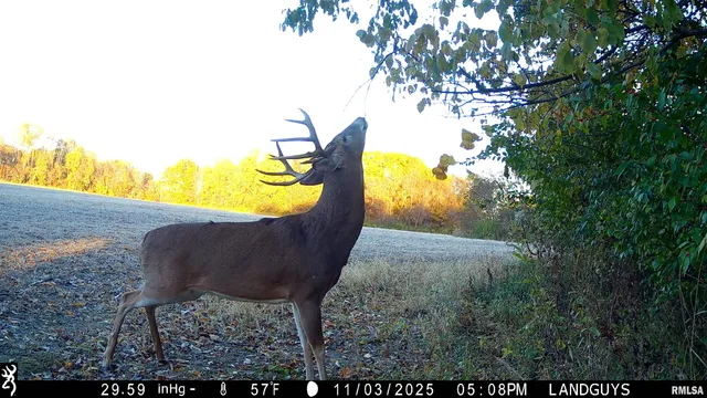 $1,179,000 | 25700 North Orion School Road, Canton, IL 61520