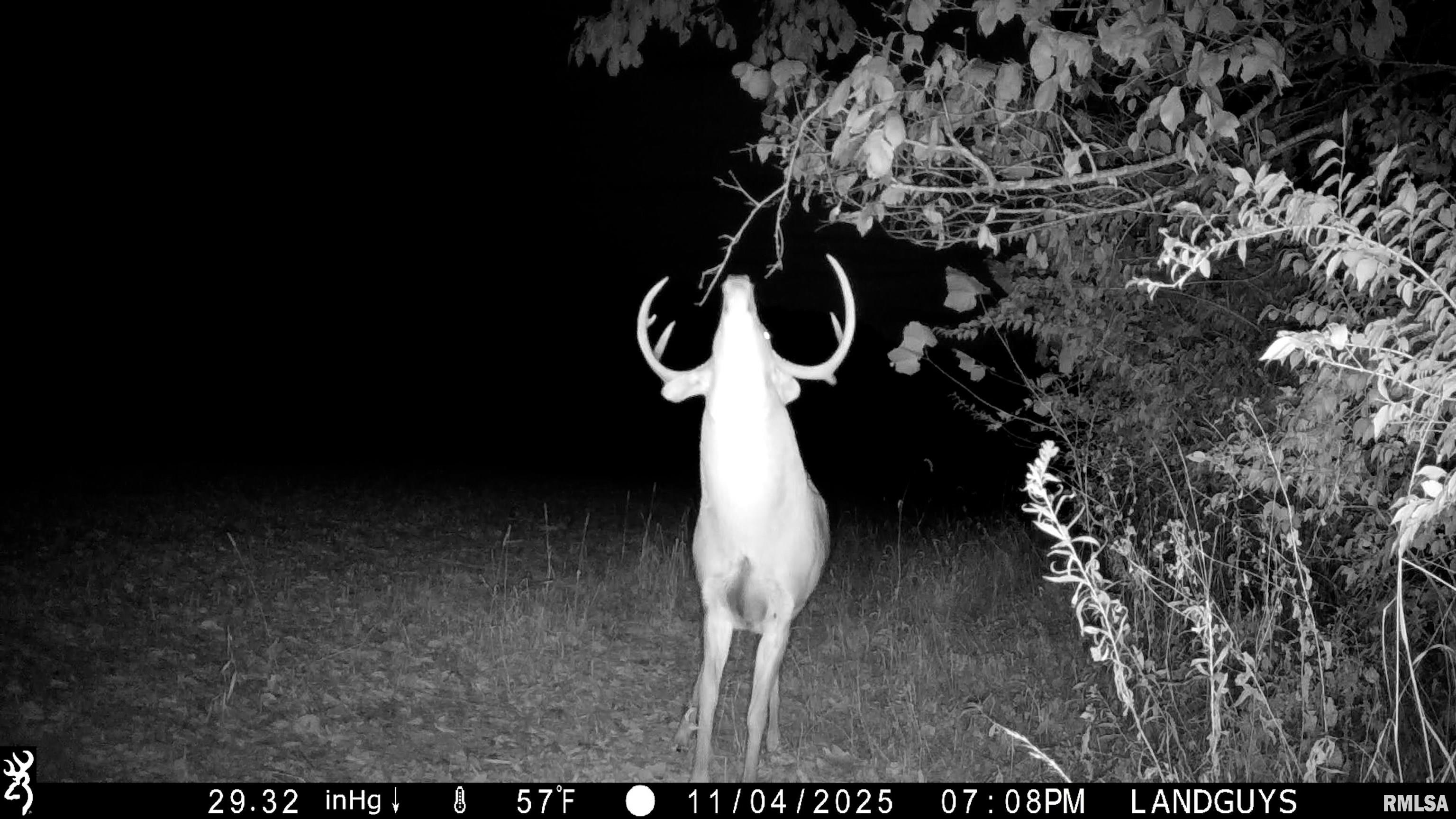 25700 North Orion School Road Canton, IL 61520 - Photo 56 of 85 Gallery Image 56