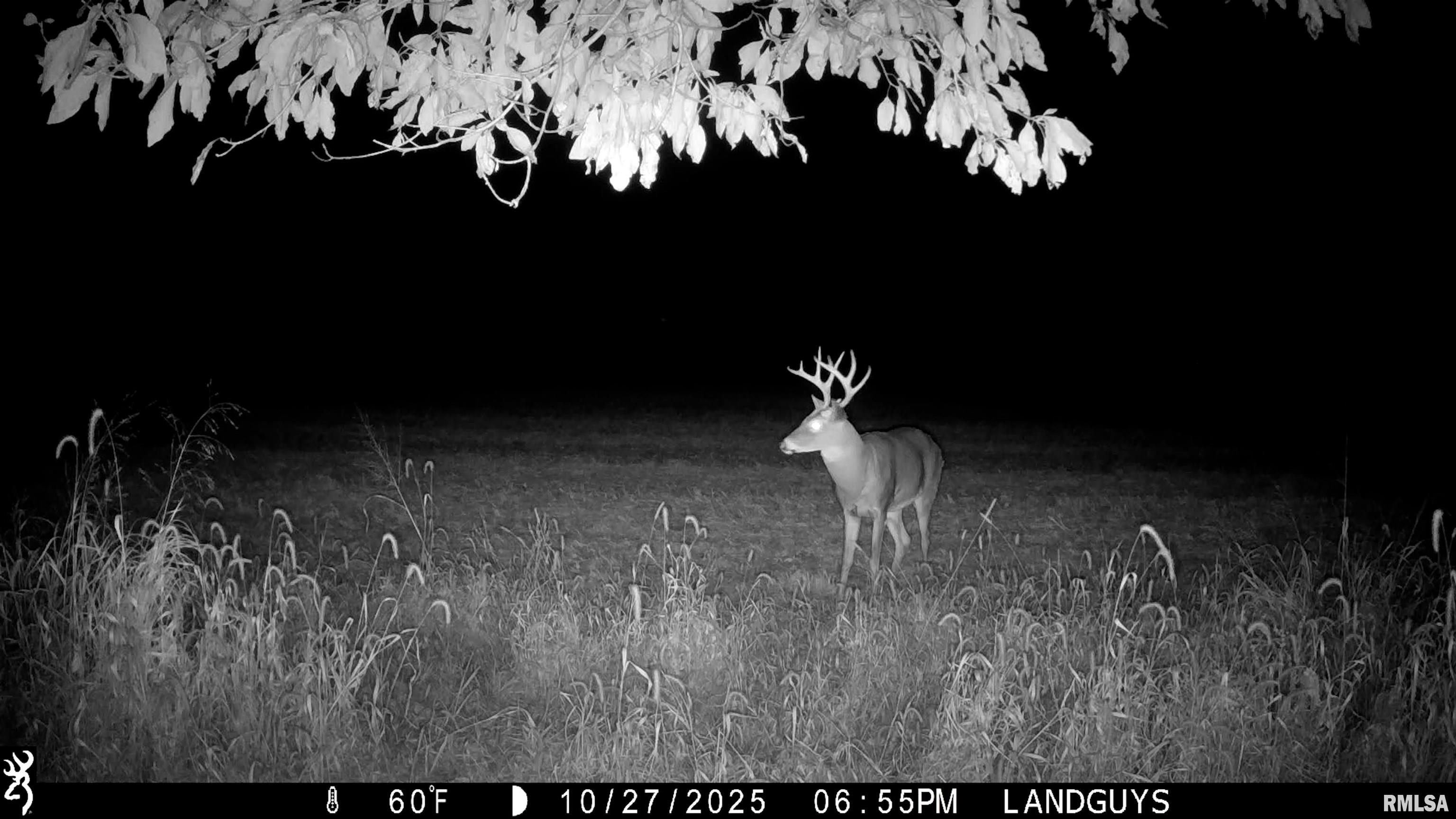 25700 North Orion School Road Canton, IL 61520 - Photo 57 of 85 Gallery Image 57