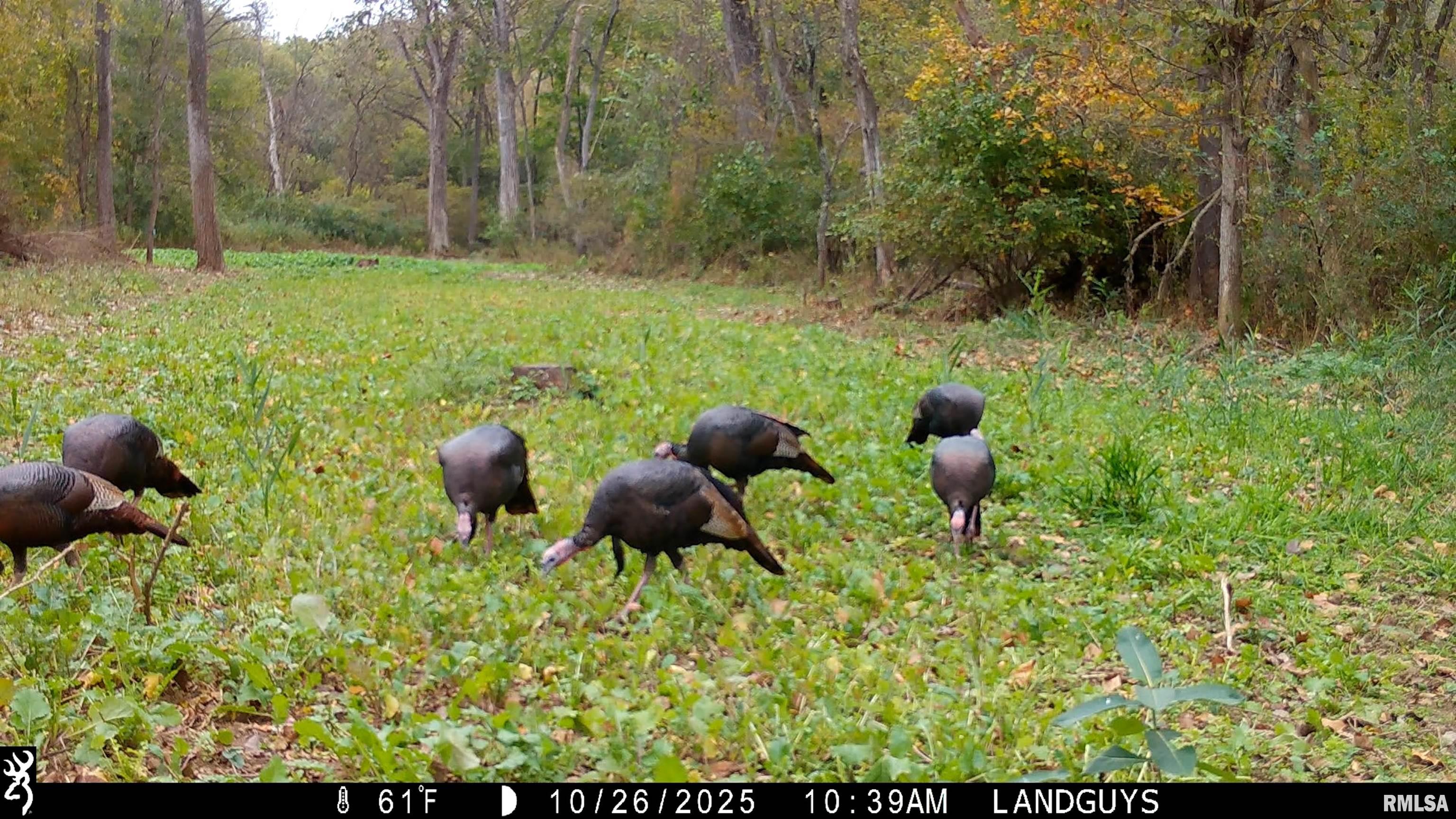 25700 North Orion School Road Canton, IL 61520 - Photo 59 of 85 Gallery Image 59