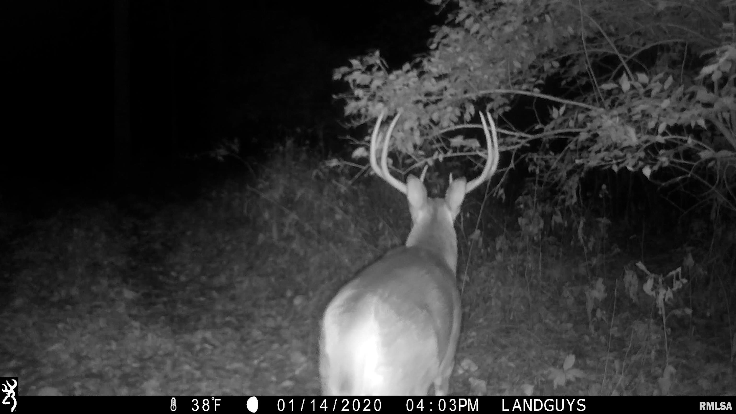 25700 North Orion School Road Canton, IL 61520 - Photo 60 of 85 Gallery Image 60