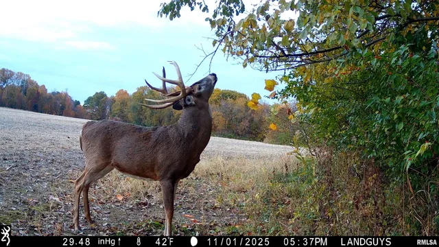 $1,179,000 | 25700 North Orion School Road, Canton, IL 61520