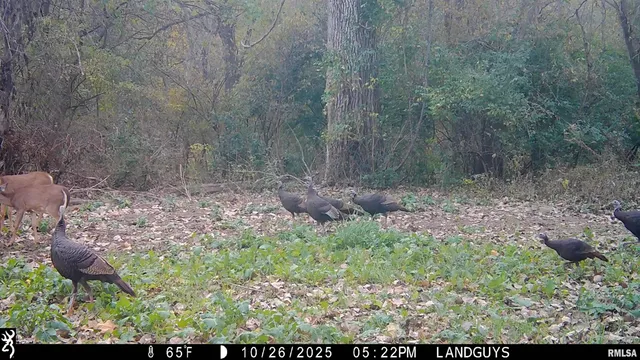 $1,179,000 | 25700 North Orion School Road, Canton, IL 61520