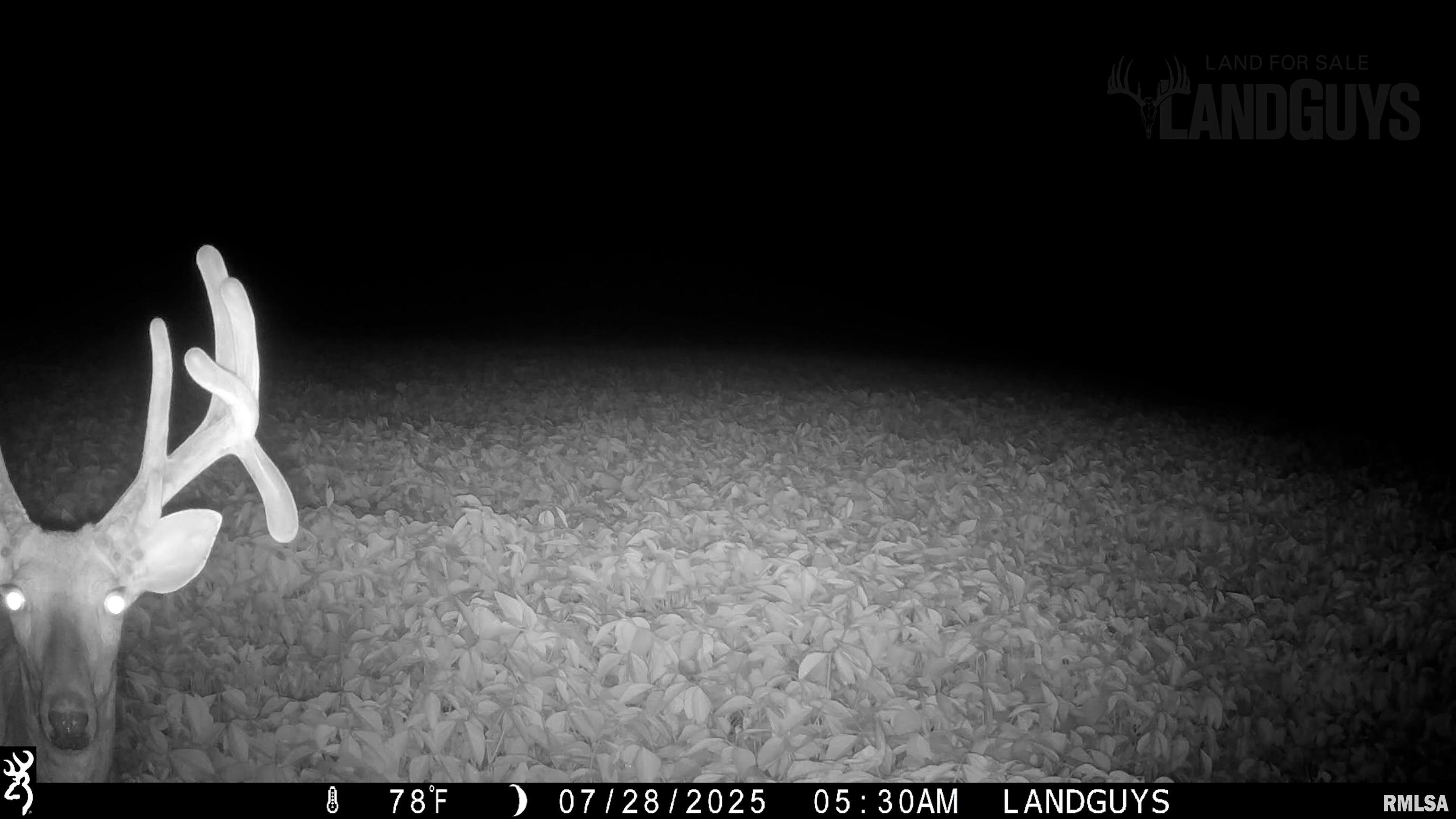 25700 North Orion School Road Canton, IL 61520 - Photo 65 of 85 Gallery Image 65