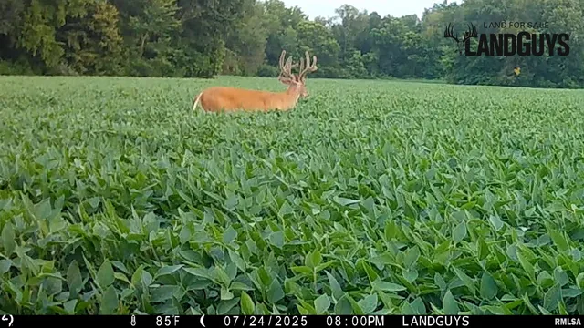 $1,179,000 | 25700 North Orion School Road, Canton, IL 61520