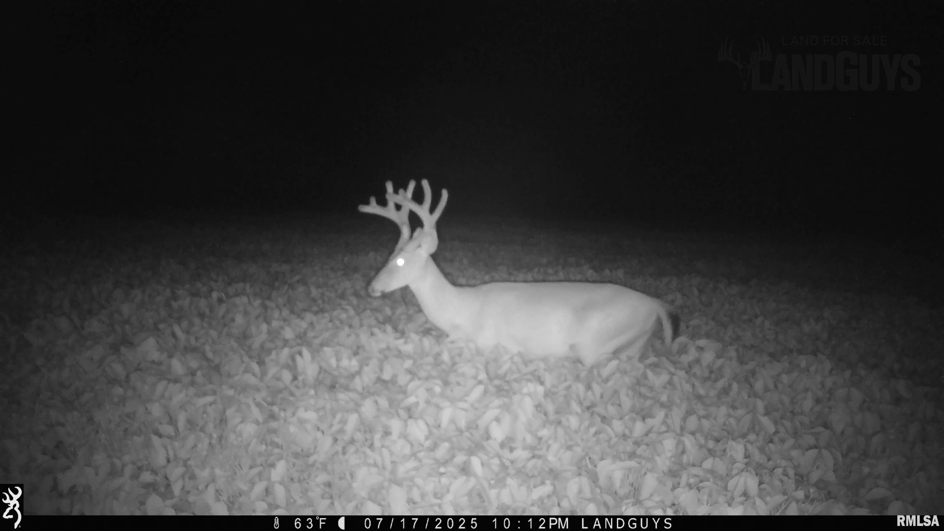 25700 North Orion School Road Canton, IL 61520 - Photo 67 of 85 Gallery Image 67