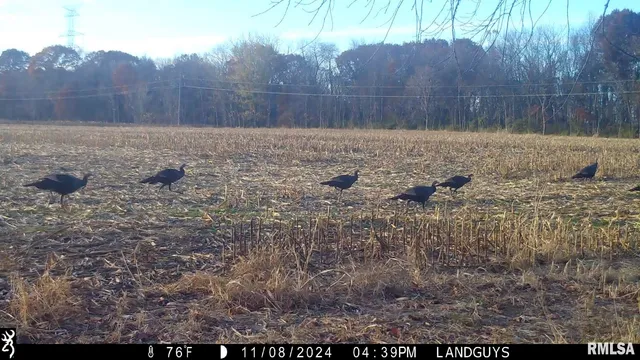 $1,179,000 | 25700 North Orion School Road, Canton, IL 61520