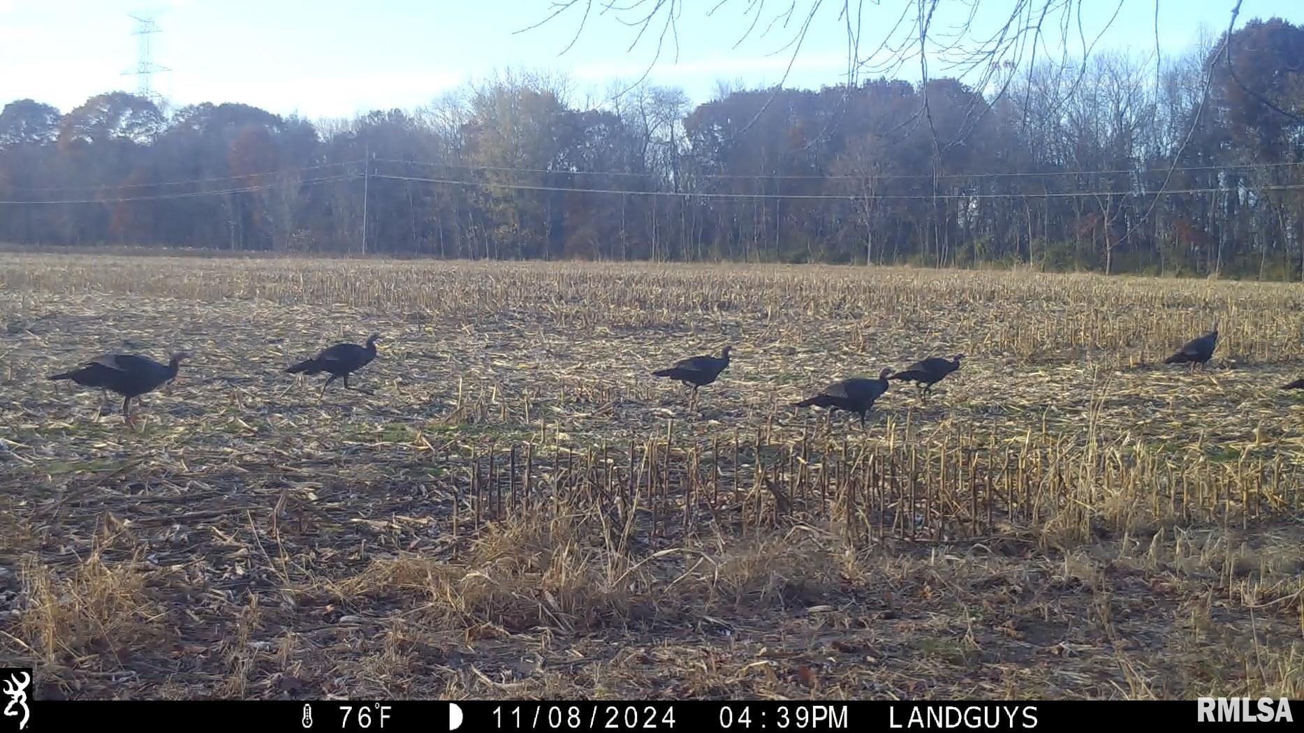 25700 North Orion School Road Canton, IL 61520 - Photo 69 of 85 Gallery Image 69