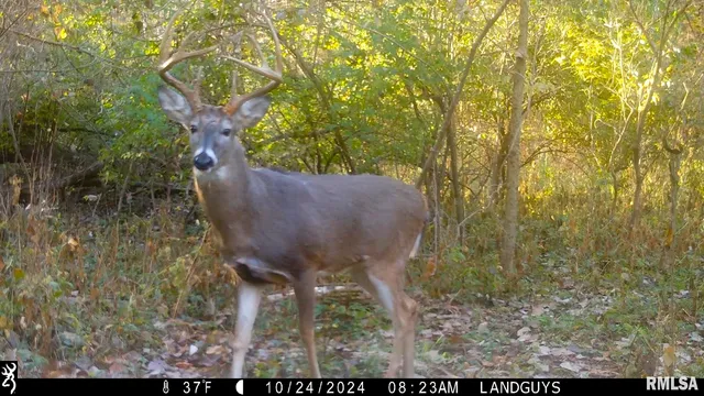 $1,179,000 | 25700 North Orion School Road, Canton, IL 61520