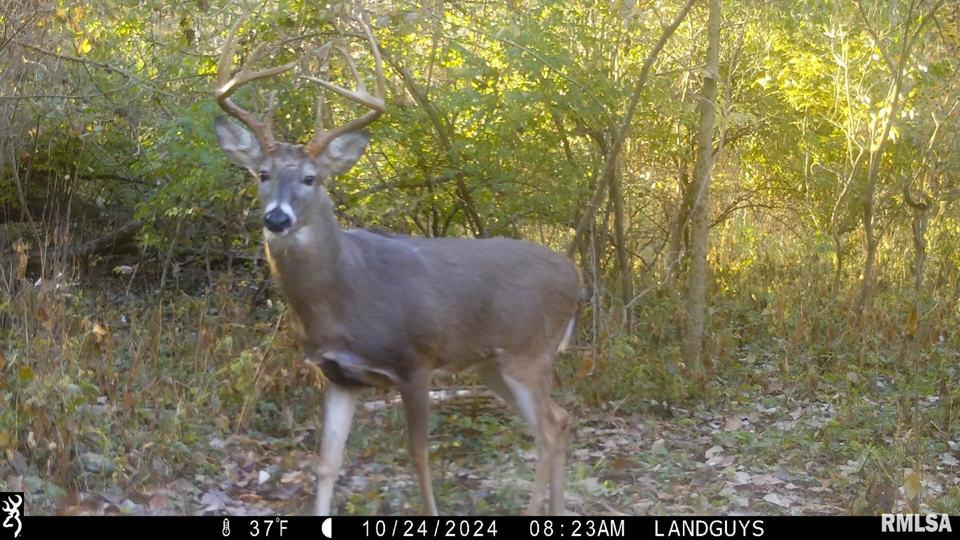 25700 North Orion School Road Canton, IL 61520 - Photo 70 of 85 Gallery Image 70