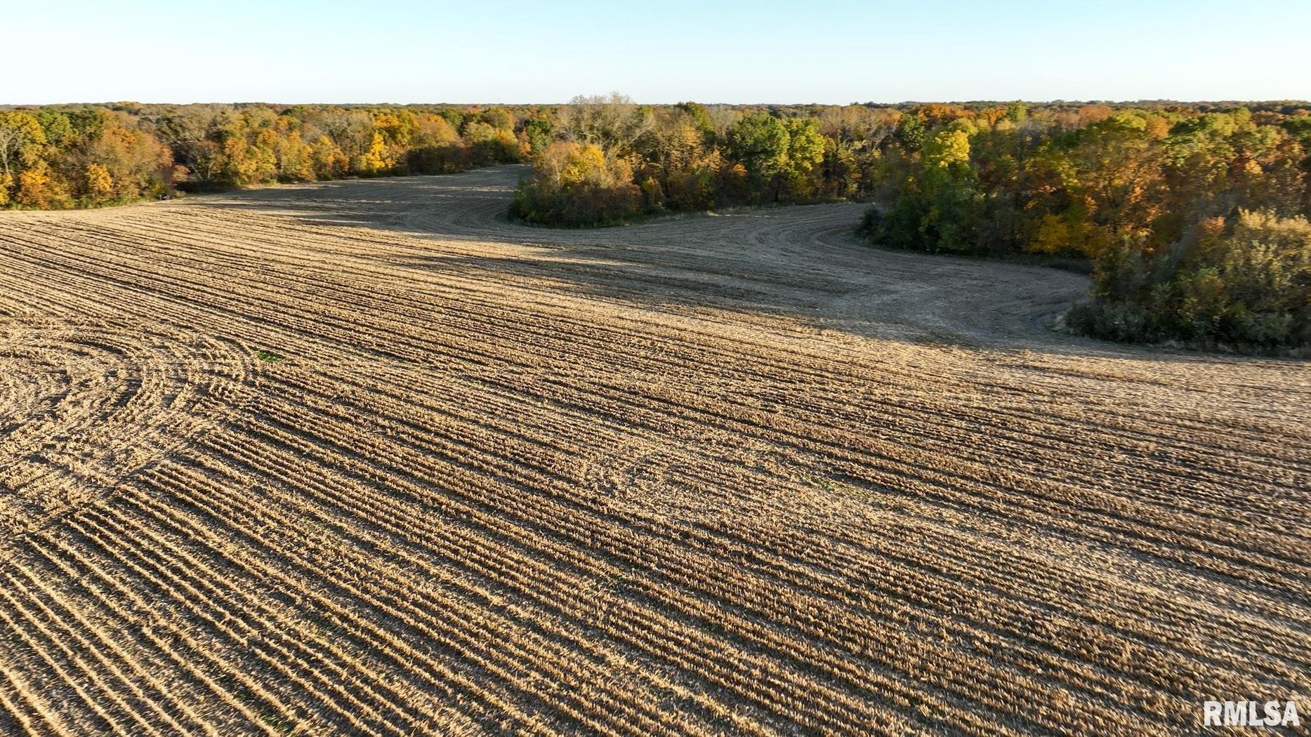 25700 North Orion School Road Canton, IL 61520 - Photo 7 of 85 Gallery Image 7