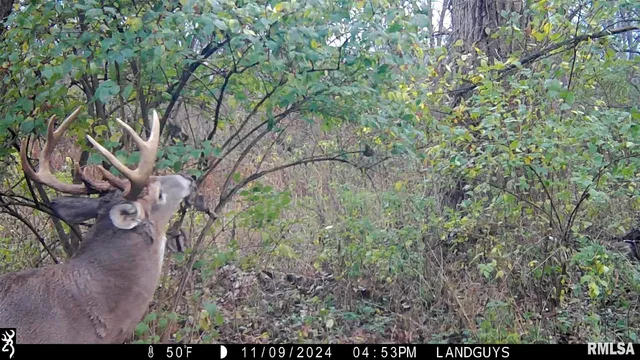 $1,179,000 | 25700 North Orion School Road, Canton, IL 61520