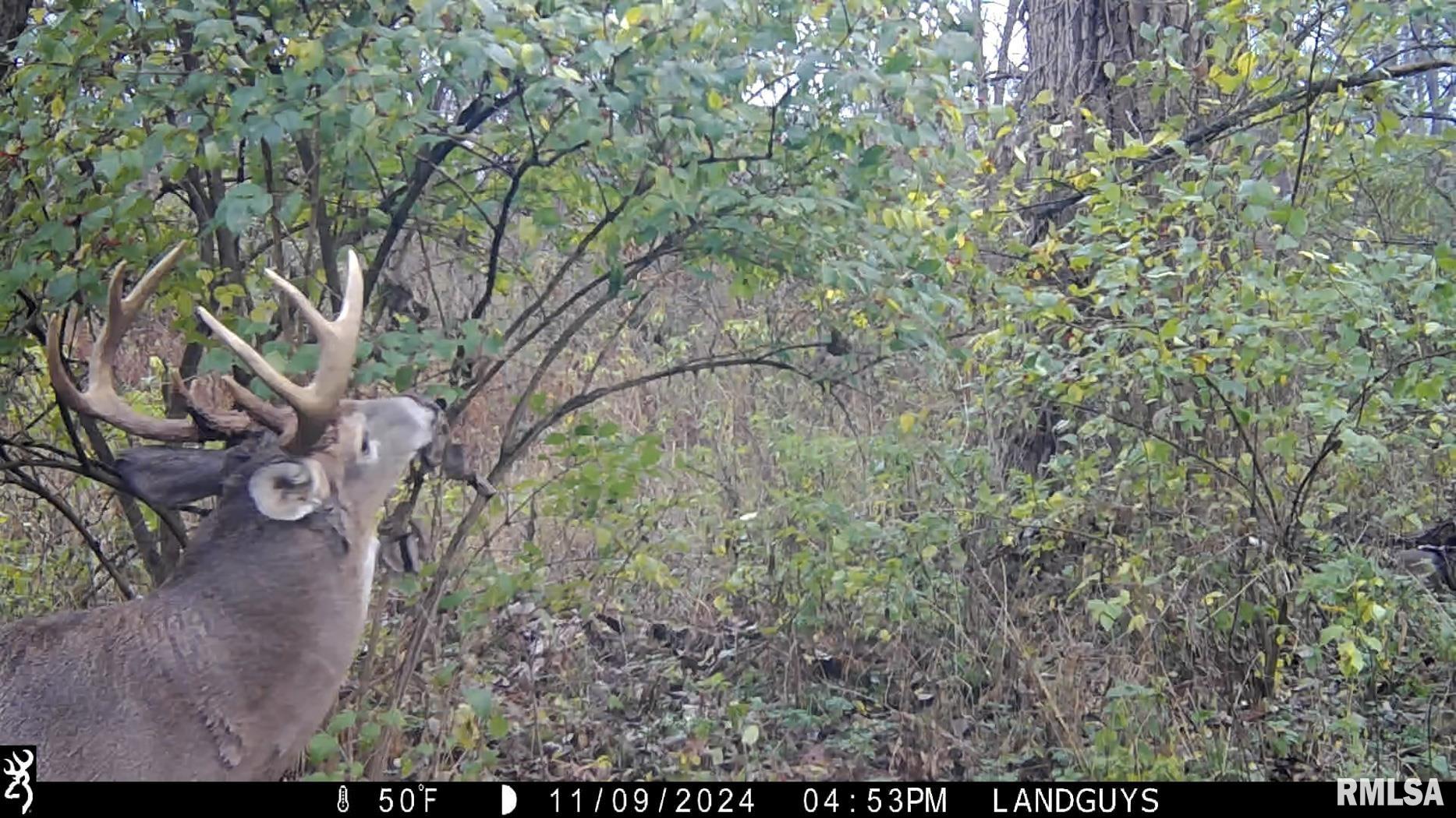 25700 North Orion School Road Canton, IL 61520 - Photo 72 of 85 Gallery Image 72