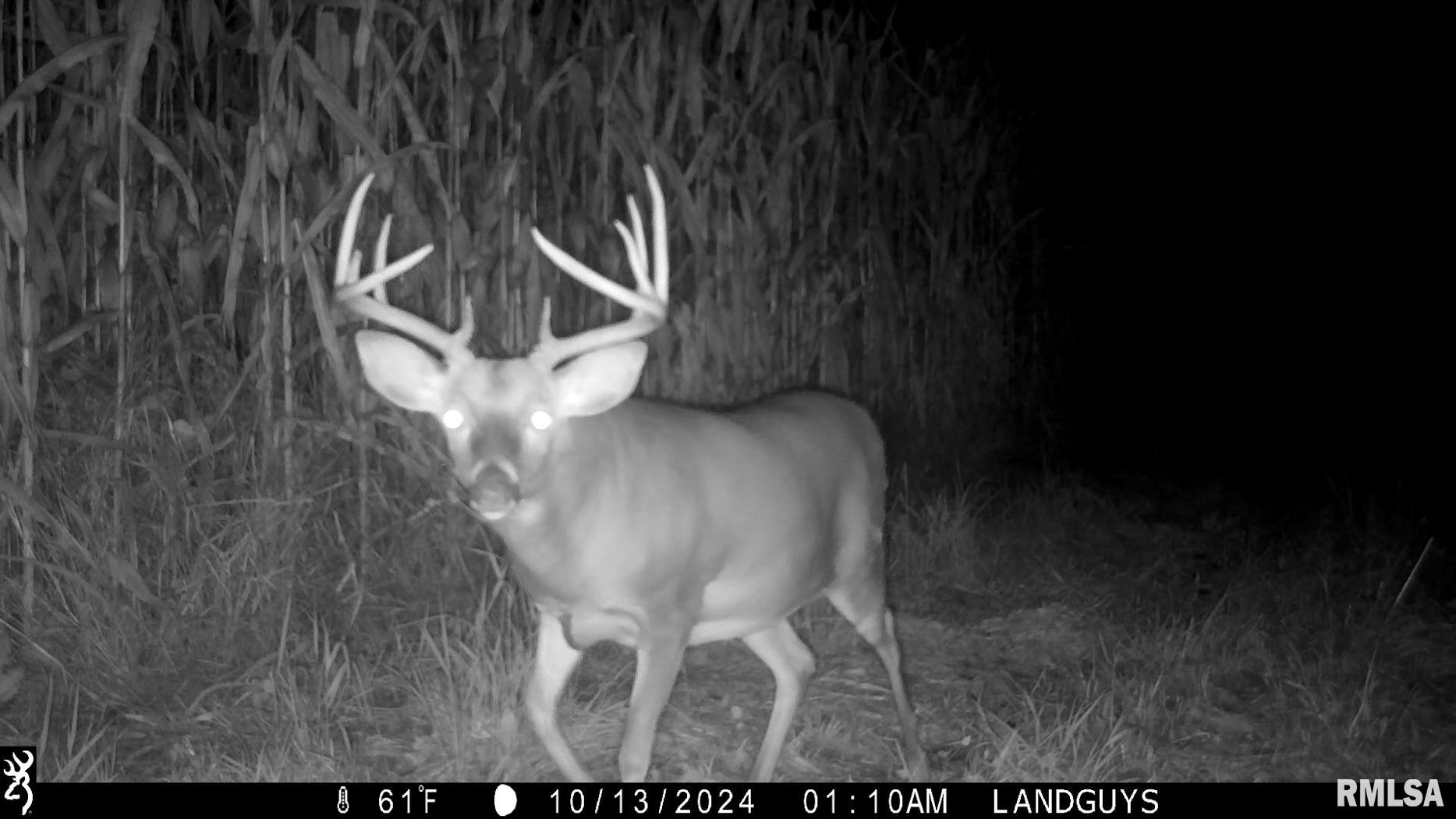 25700 North Orion School Road Canton, IL 61520 - Photo 73 of 85 Gallery Image 73