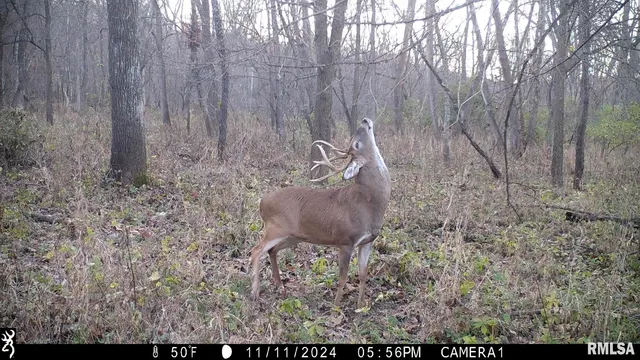 $1,179,000 | 25700 North Orion School Road, Canton, IL 61520