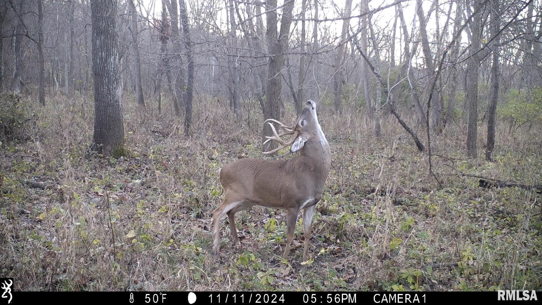 25700 North Orion School Road Canton, IL 61520 - Photo 75 of 85 Gallery Image 75