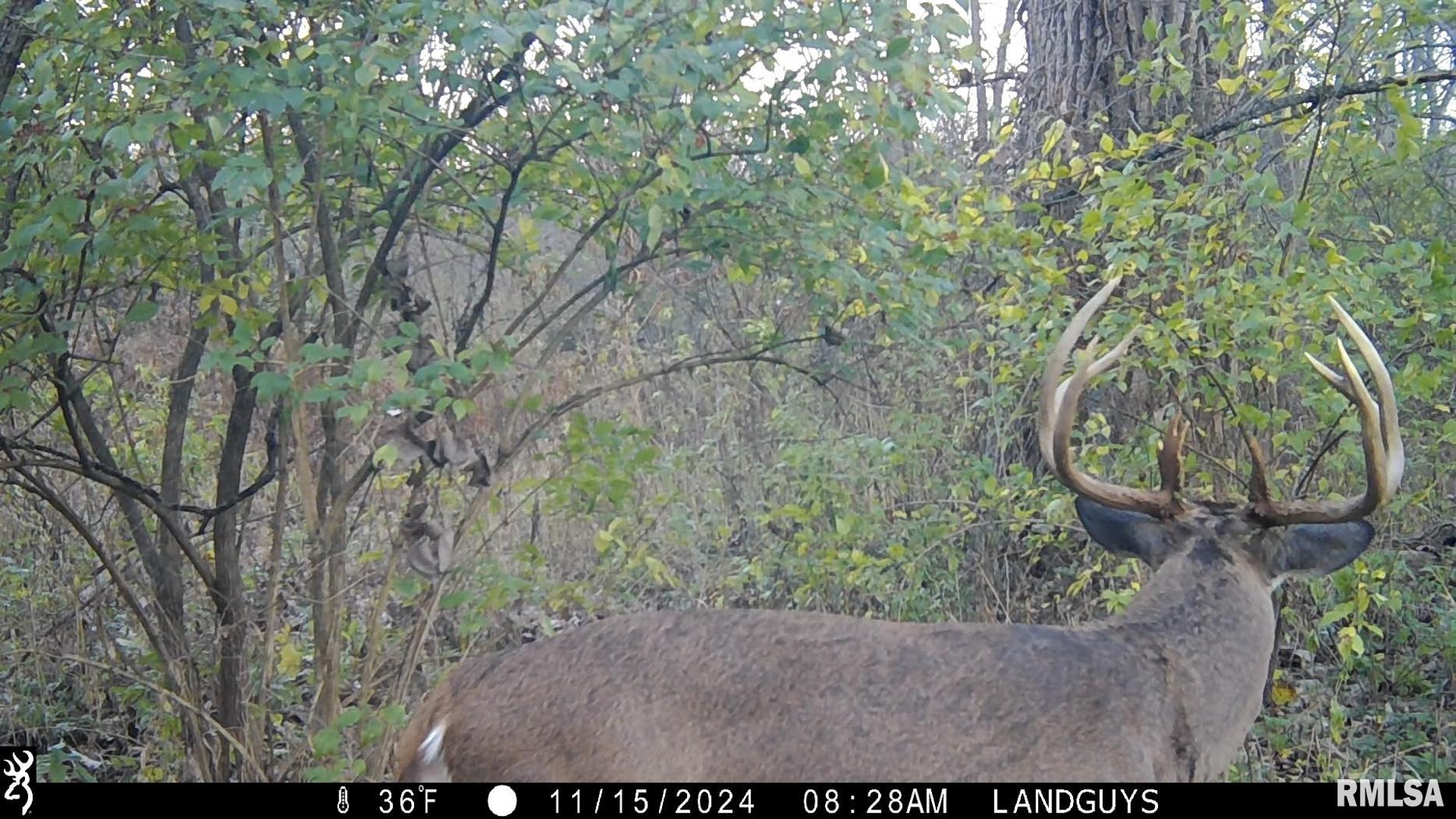 25700 North Orion School Road Canton, IL 61520 - Photo 77 of 85 Gallery Image 77