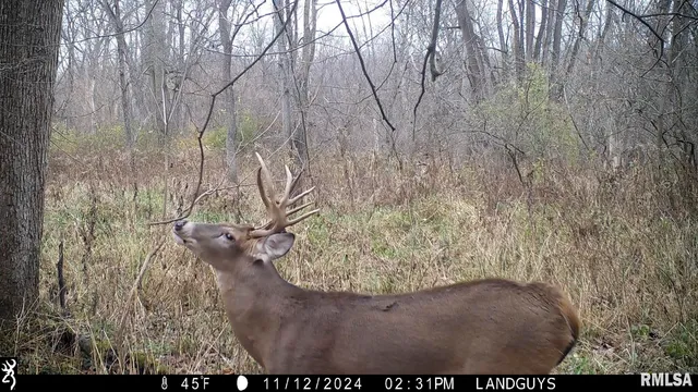 $1,179,000 | 25700 North Orion School Road, Canton, IL 61520