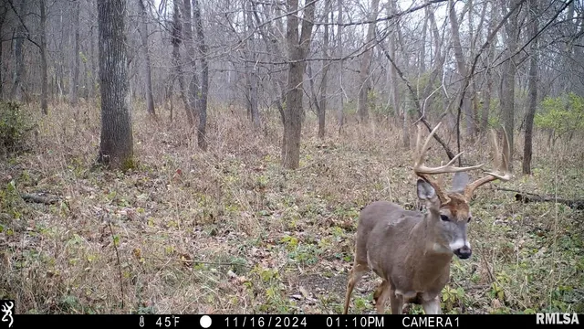 $1,179,000 | 25700 North Orion School Road, Canton, IL 61520