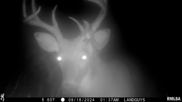 $1,179,000 | 25700 North Orion School Road, Canton, IL 61520