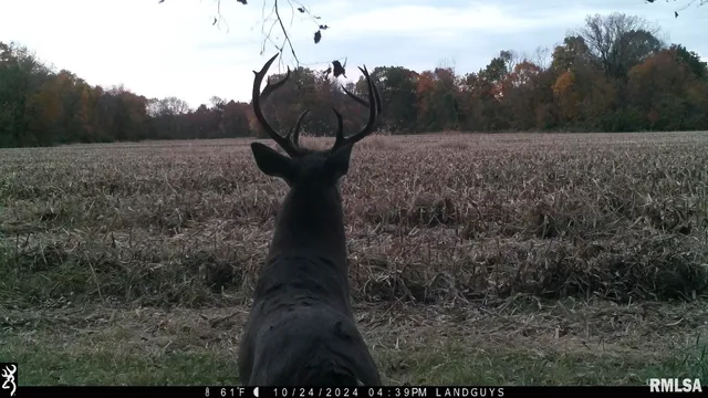 $1,179,000 | 25700 North Orion School Road, Canton, IL 61520