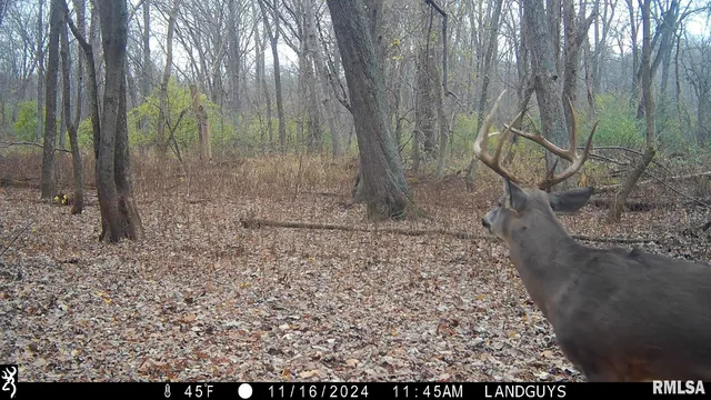 $1,179,000 | 25700 North Orion School Road, Canton, IL 61520