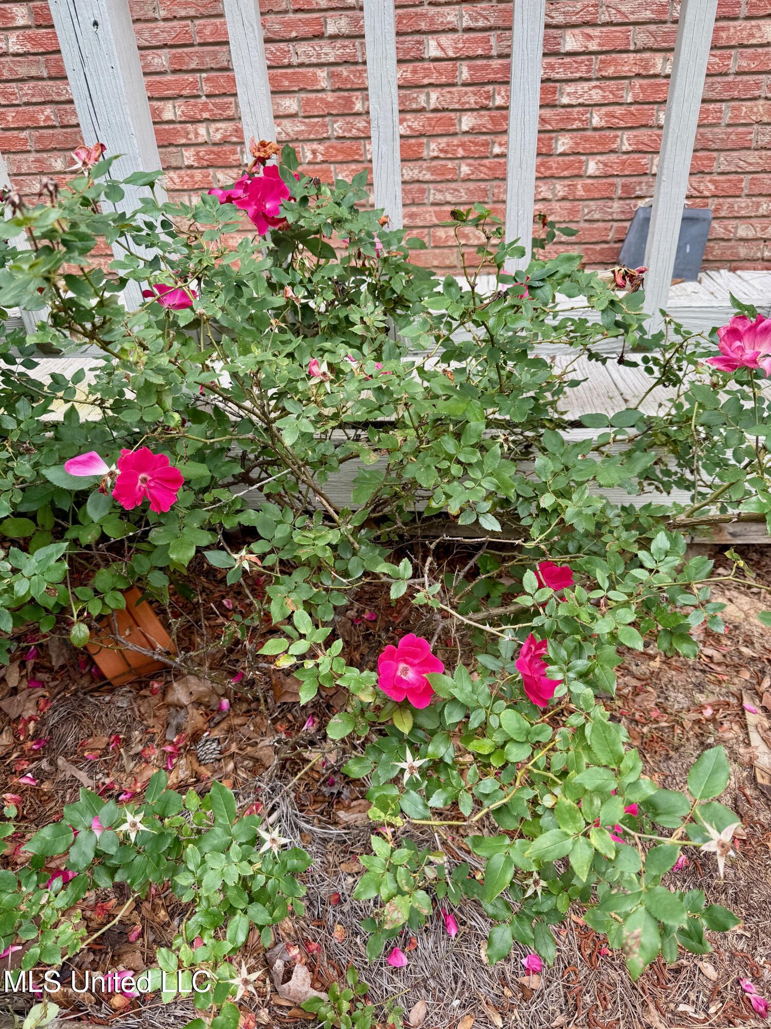 106 Skiers Point Canton, MS 39046 - Photo 20 of 71 IMG_3474