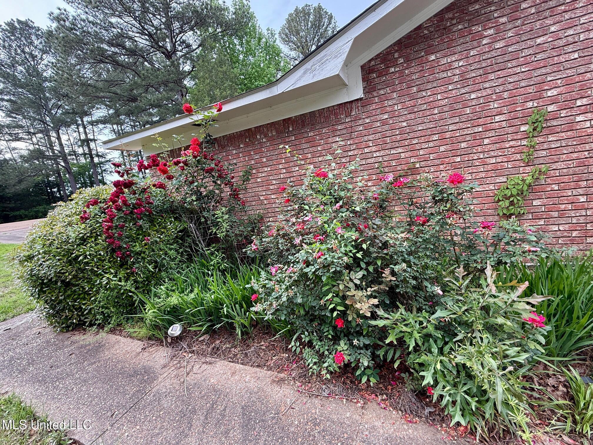 106 Skiers Point Canton, MS 39046 - Photo 22 of 71 IMG_3476