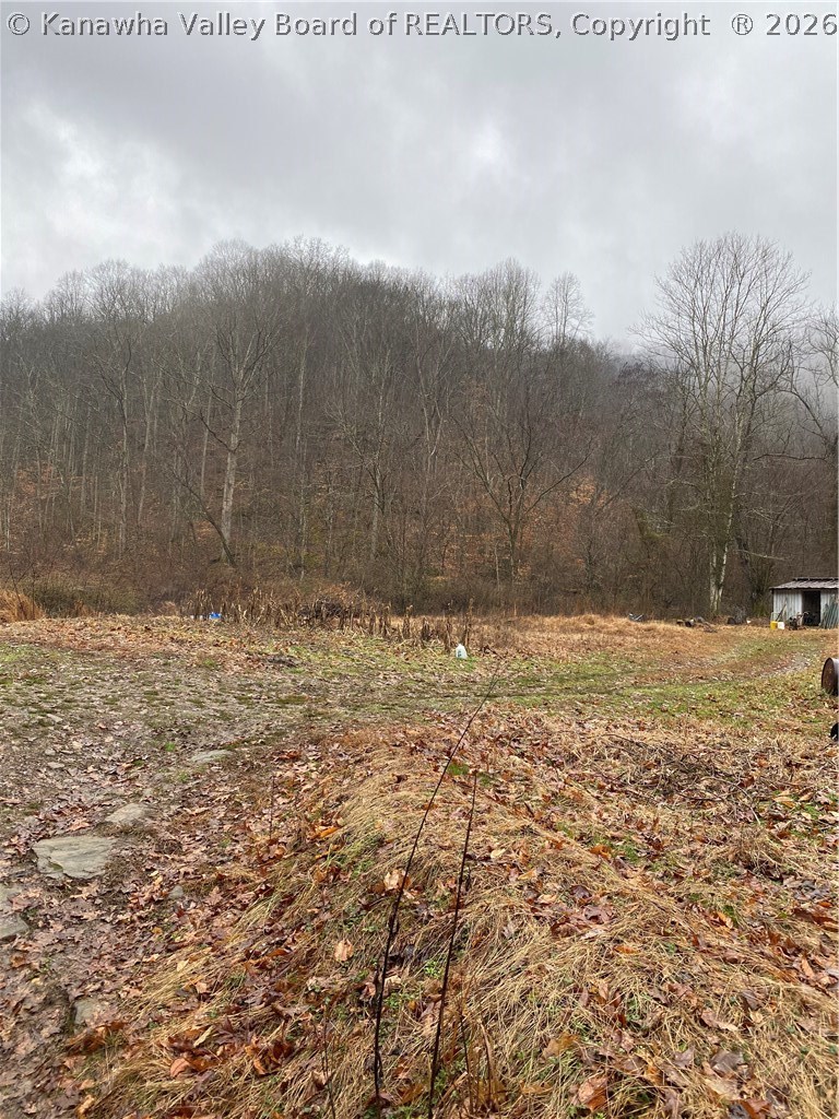 Tbd Covert Branch Road Chapmanville, WV 25508 - Photo 9 of 16 Gallery Image 9