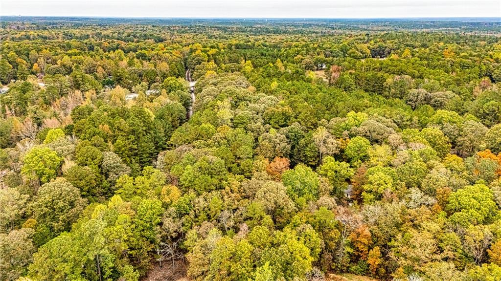 121 Hardy Road Senoia, GA 30276 - Photo 30 of 35