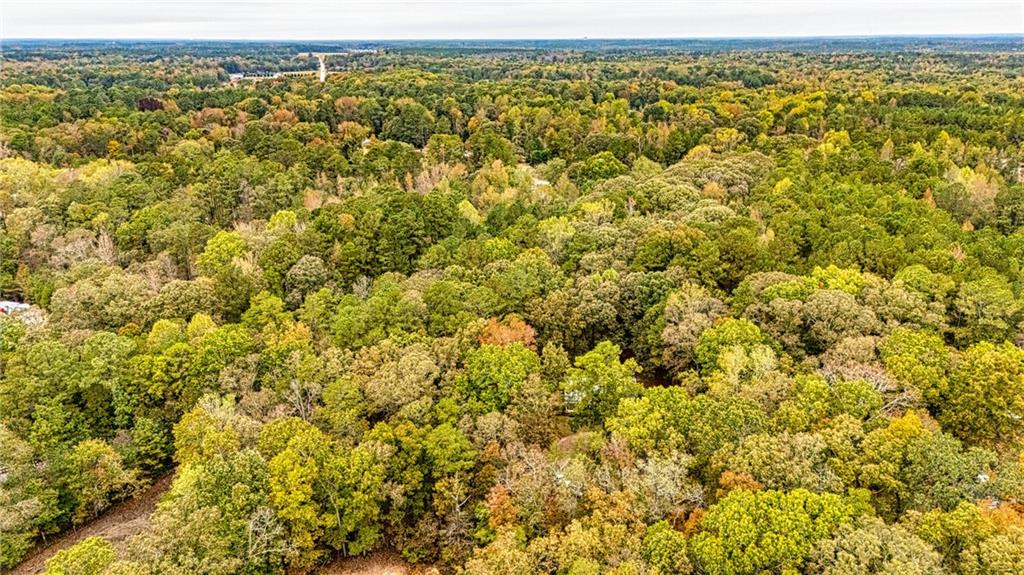 121 Hardy Road Senoia, GA 30276 - Photo 34 of 35